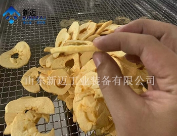 蘋果脆片變溫壓差膨化設備